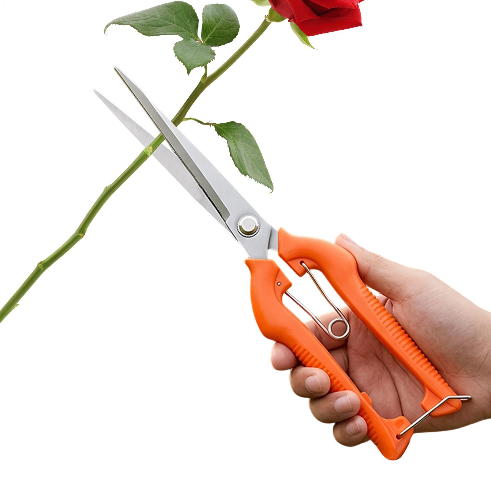 Gardening Tools Women - Budama Makası Üzüm Makası Bahçe Aleti