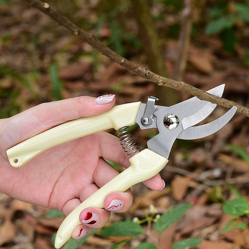 Pruning Shears - İşgücü Tasarrufu Sağlayan Bahçe Budama Makası,