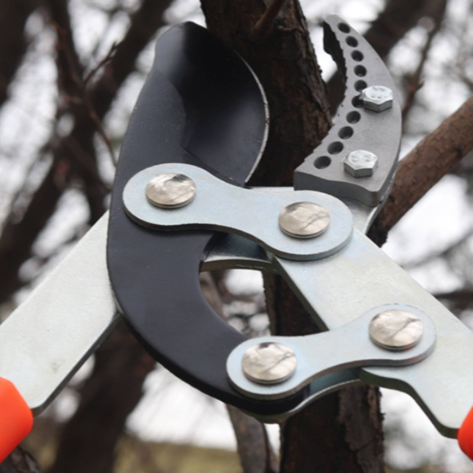 Pruning Shears - Teleskopik Dal Budama Makineleri Keskin Bıçaklı
