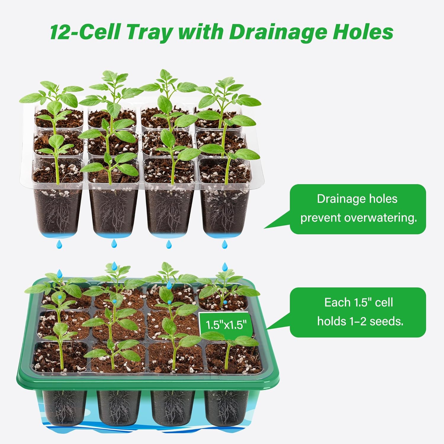 6/12 Bölmeli Yetiştirme Başlan - Propagation Tray Dome incelemesi ve fiyatı