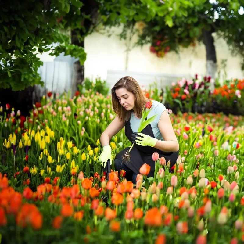 2'si 1 Arada Bahçe Tırmığı Man - Gardening Tools Hoe incelemesi ve fiyatı