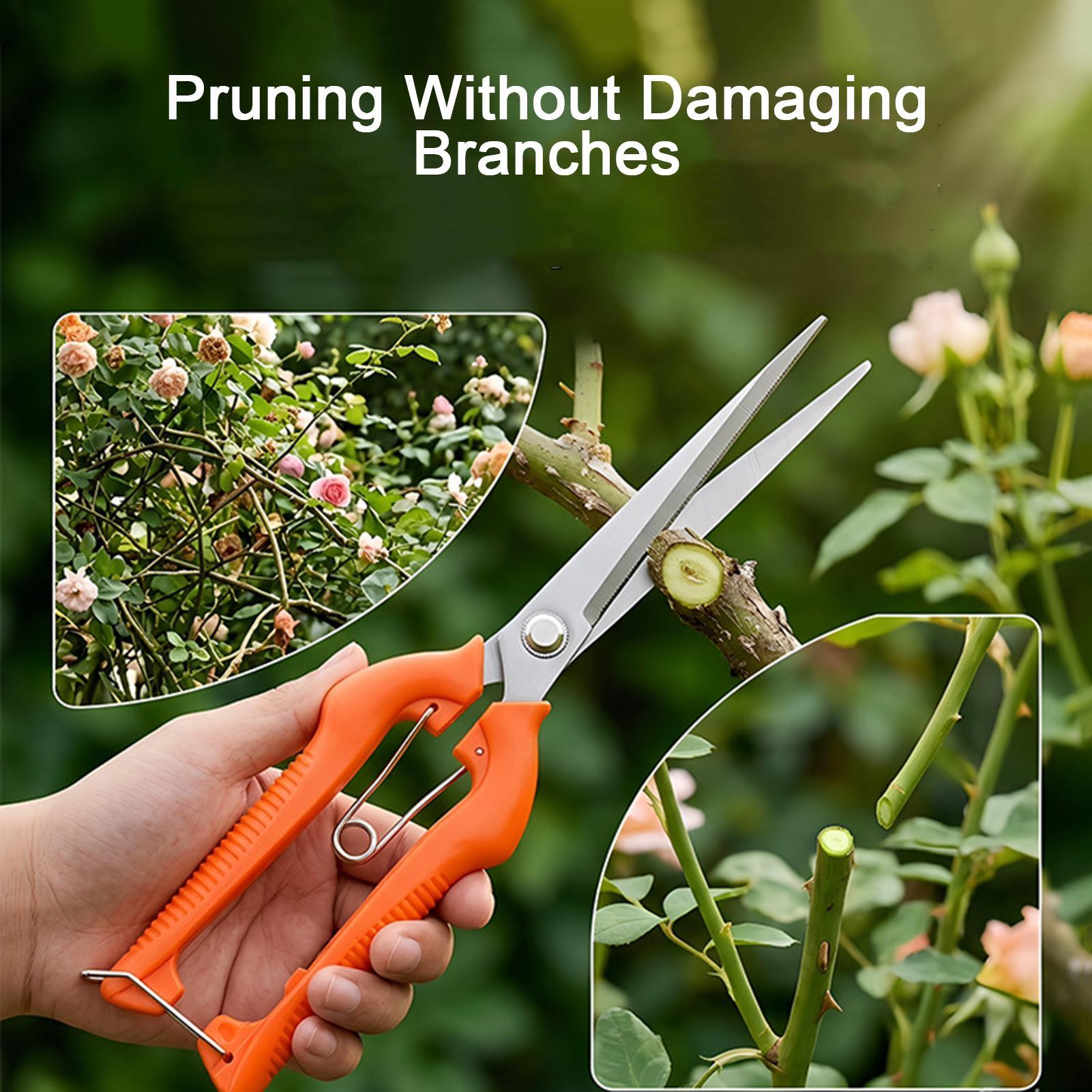 Budama Makası Üzüm Makası Bahç - Gardening Tools Women incelemesi ve fiyatı