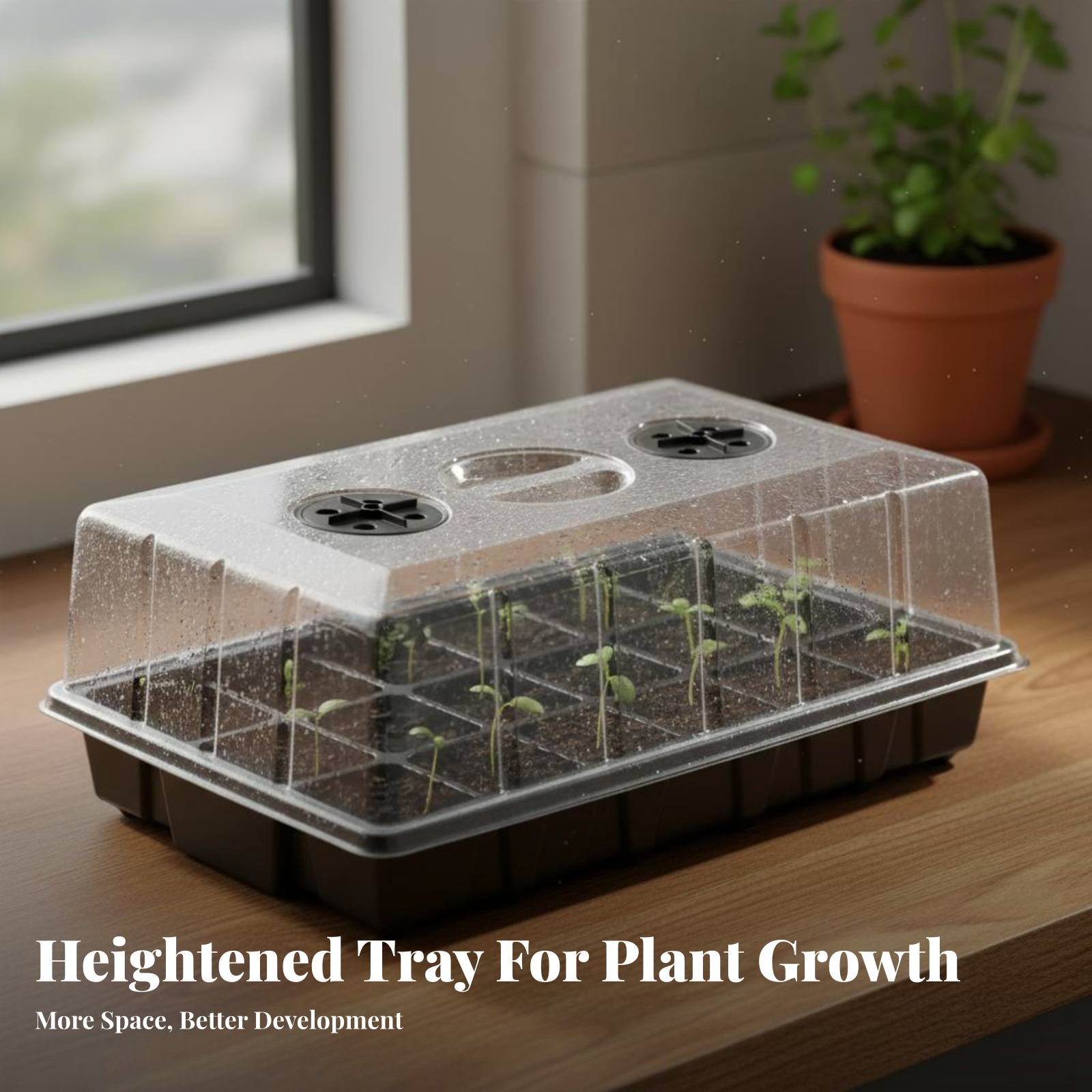 24 Bölmeli Fidanlık Tepsisi Şe - Propagation Tray Dome incelemesi ve fiyatı