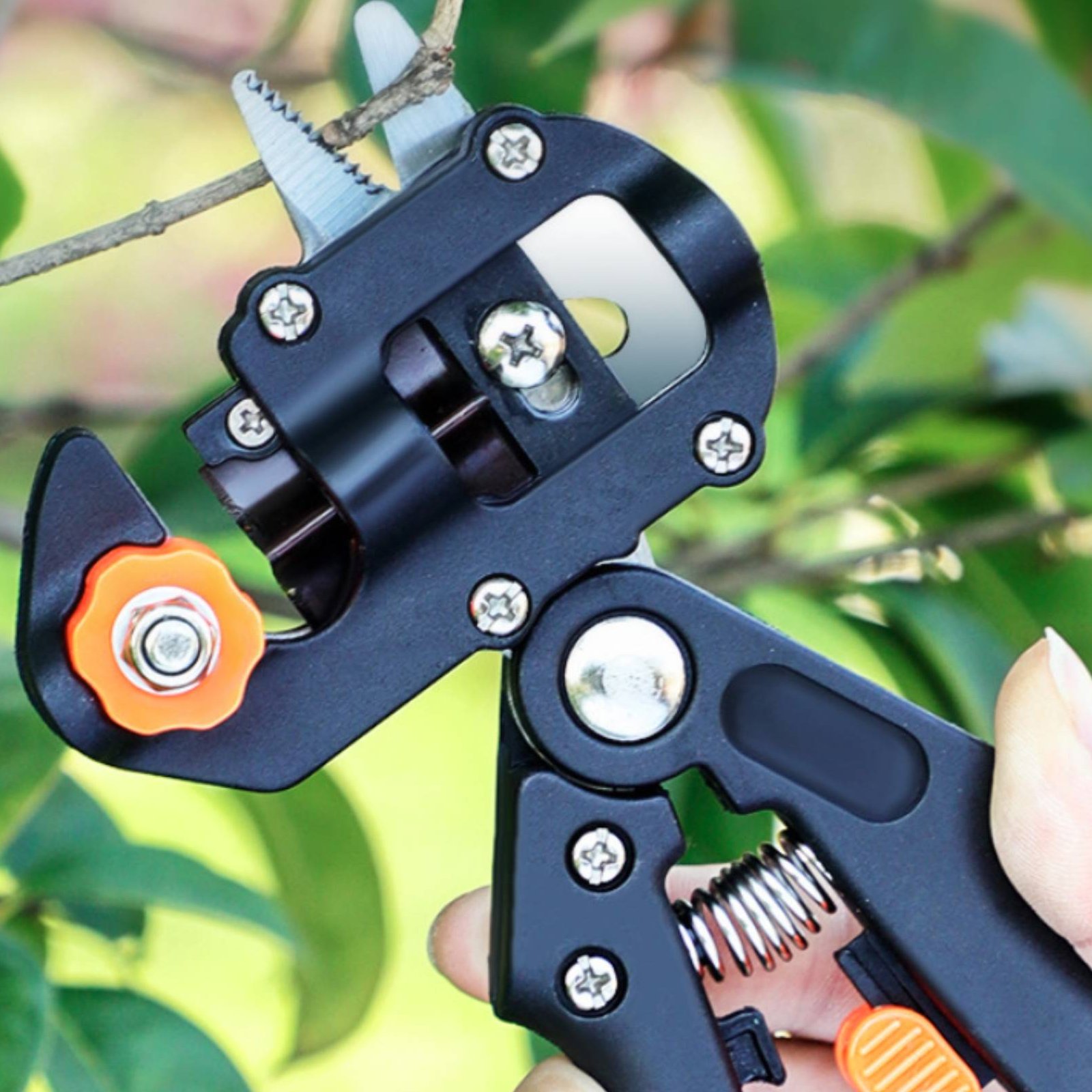 Budama Aşılama Makası 2'si 1 A - Pruning Shears incelemesi ve fiyatı