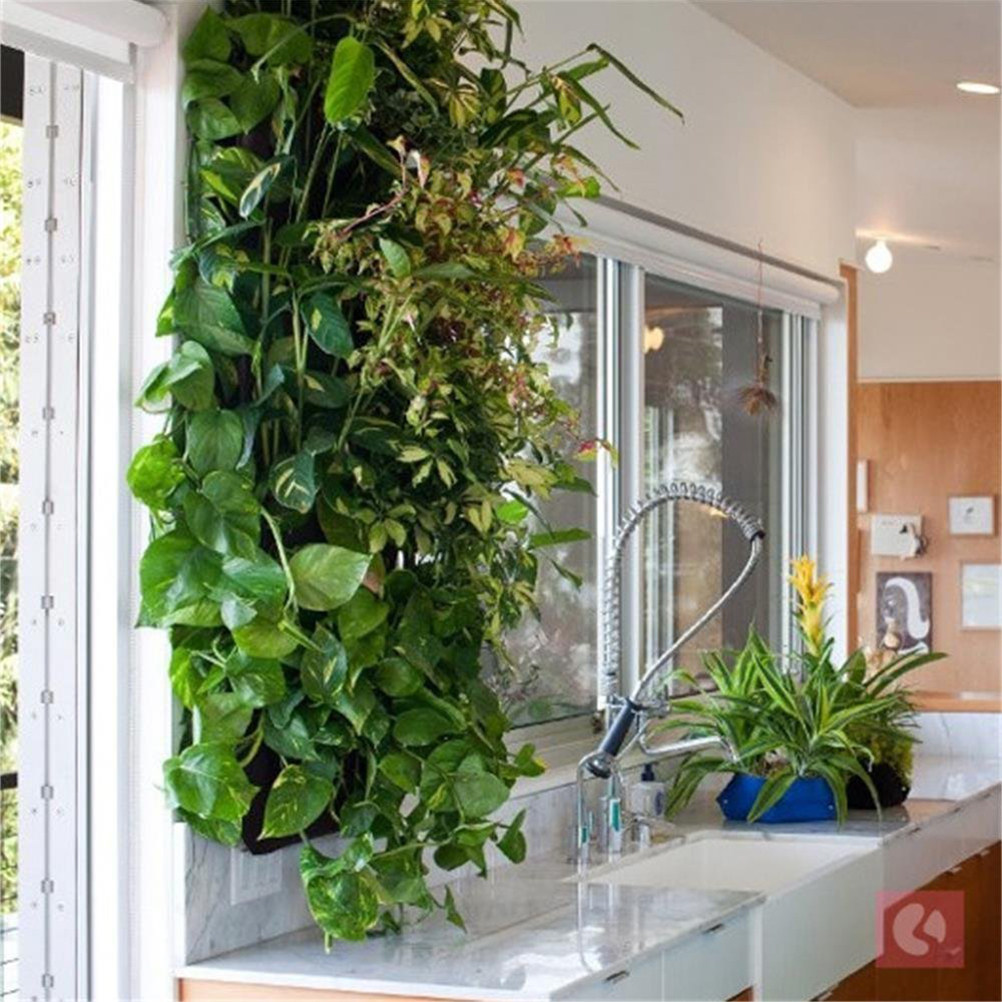 1 Adet Keçe Duvar Askılı Bitki - Vertical Wall Planter incelemesi ve fiyatı