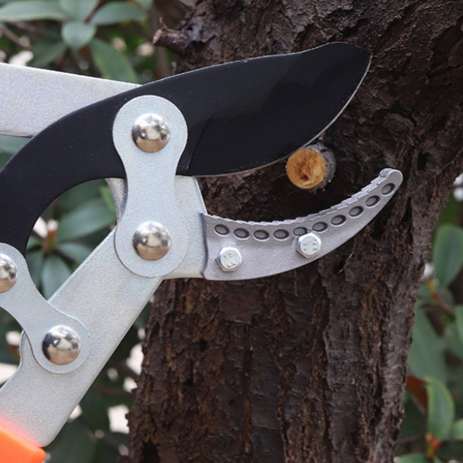 Teleskopik Dal Budama Makinele - Pruning Shears incelemesi ve fiyatı