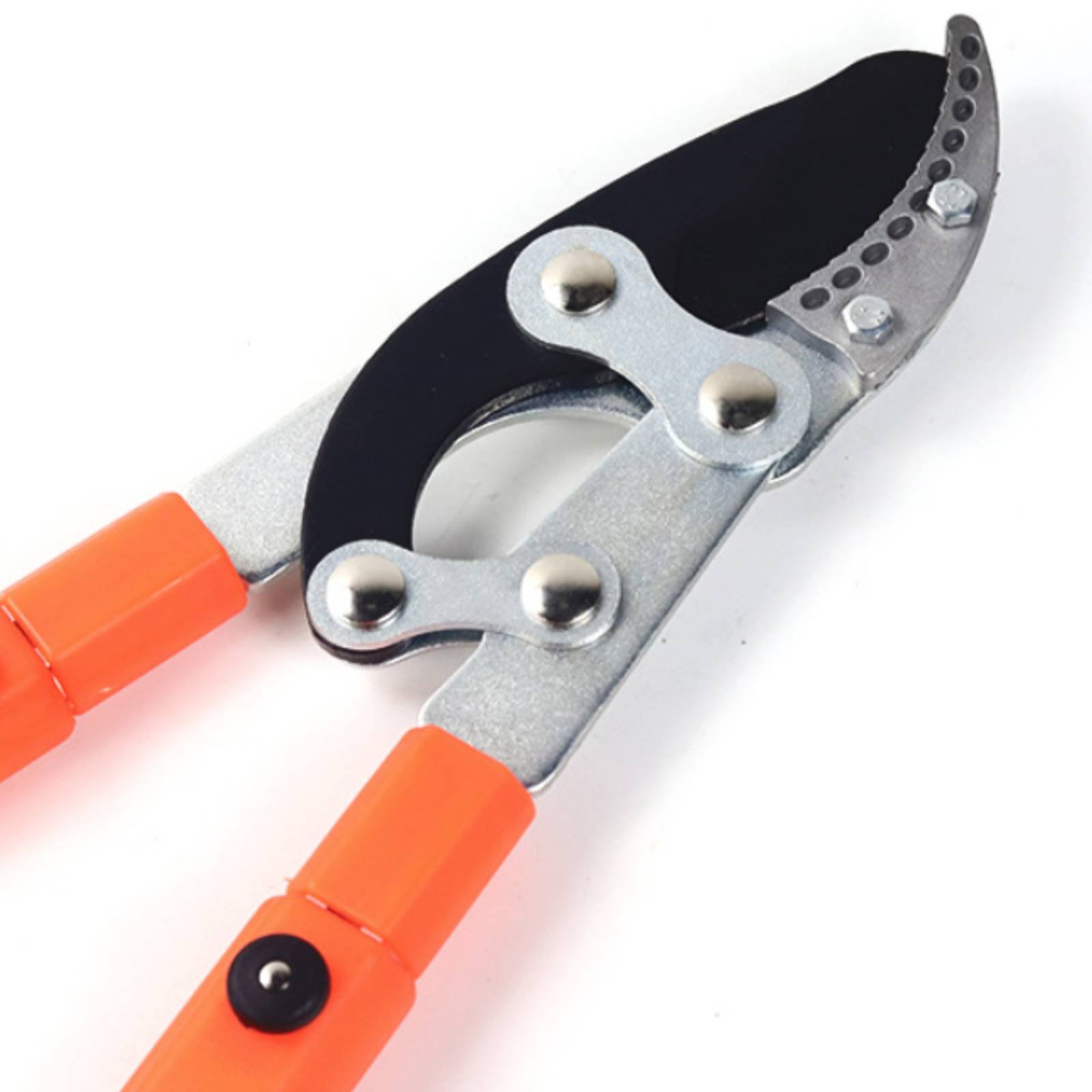 Teleskopik Dal Budama Makinele - Pruning Shears incelemesi ve fiyatı
