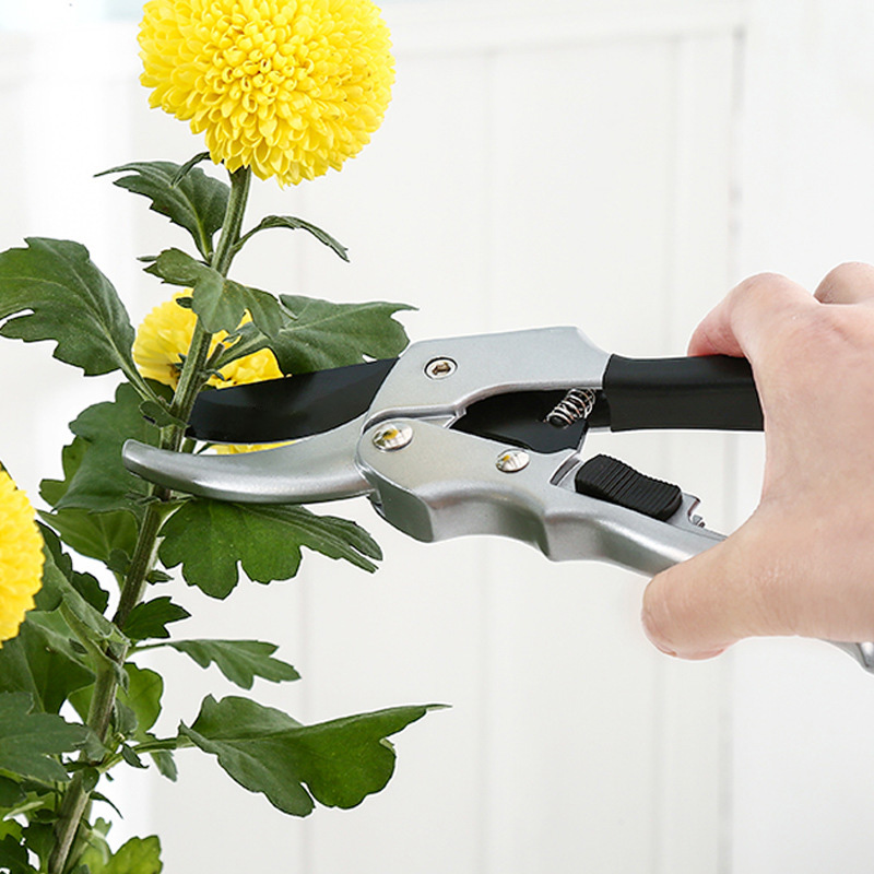 Yeni 20 cm Cırcır Bitki Trim B - Garden Hand Trowel incelemesi ve fiyatı