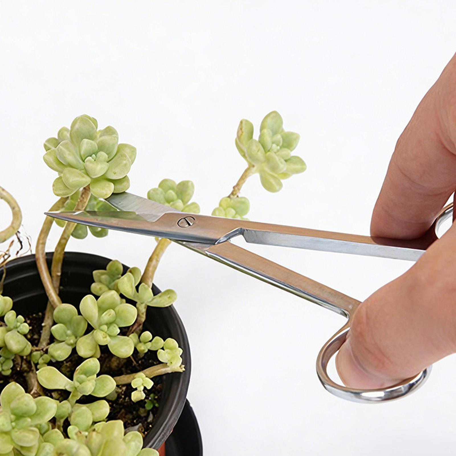 Bitki Makası Paslanmaz Çelik E - Pruning Shears incelemesi ve fiyatı
