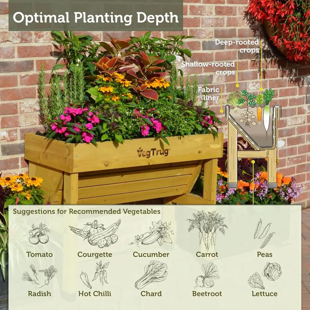 Doğal Küçük 1m Duvara Monte Ba - Vertical Wall Planter incelemesi ve fiyatı