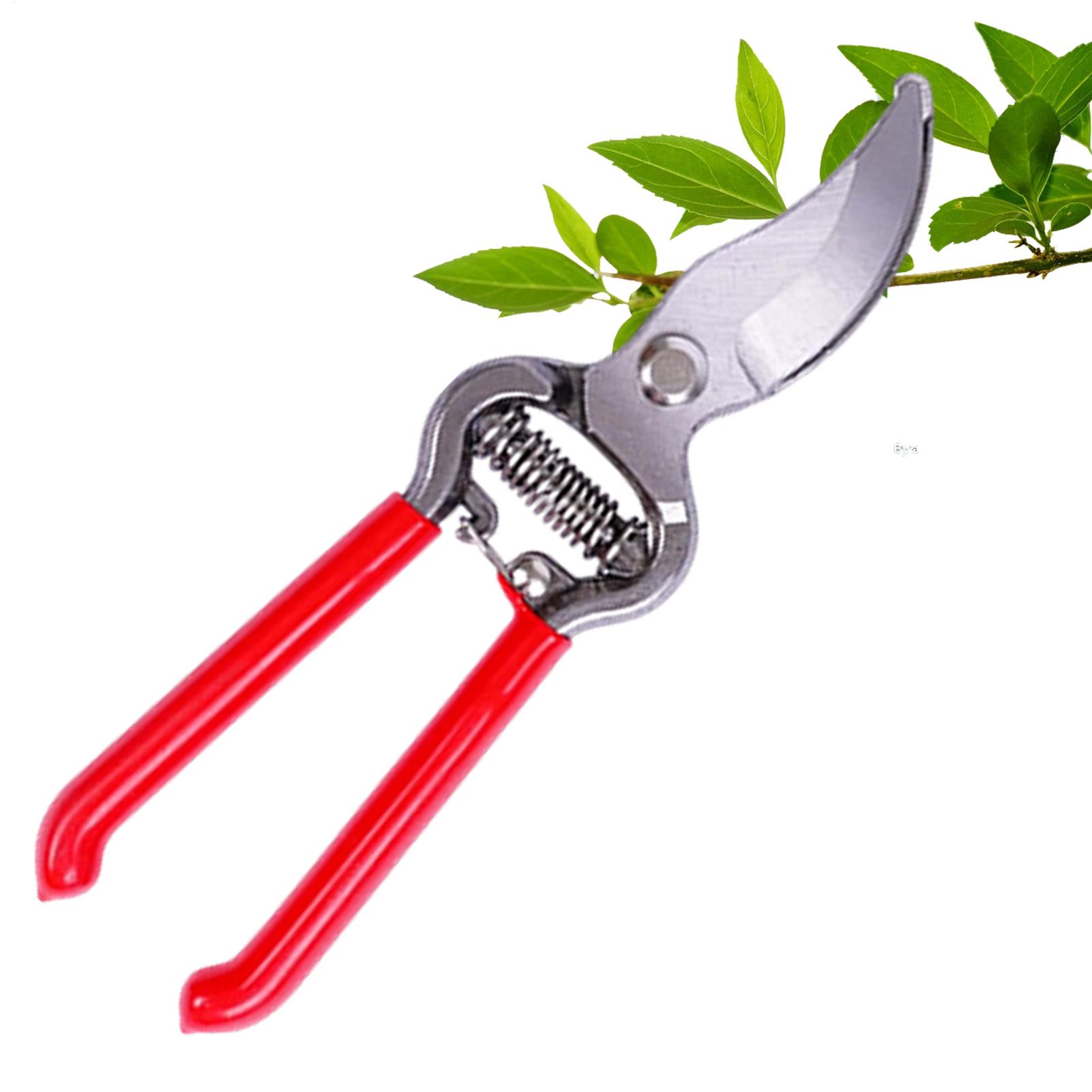 Bitki Makası Saksı Bitkisi El  - Pruning Shears incelemesi ve fiyatı